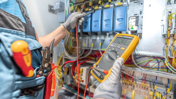 Best Ceiling Fan Installation Electrician  in Morris, MN